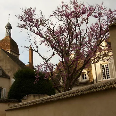 La Maison De L'oiselier Holiday home